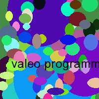 valeo programming tool