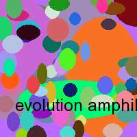 evolution amphibien reptil